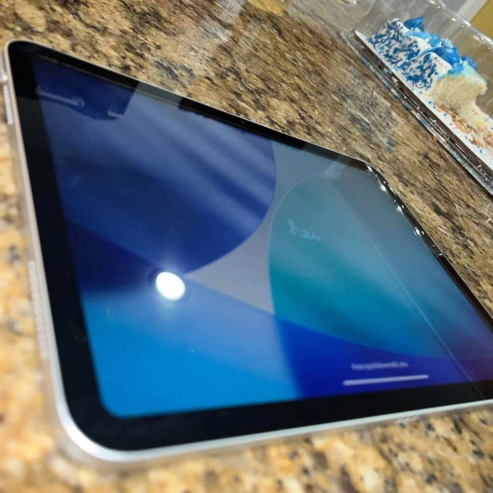 Apple iPad in Silver with Black Apple Logo